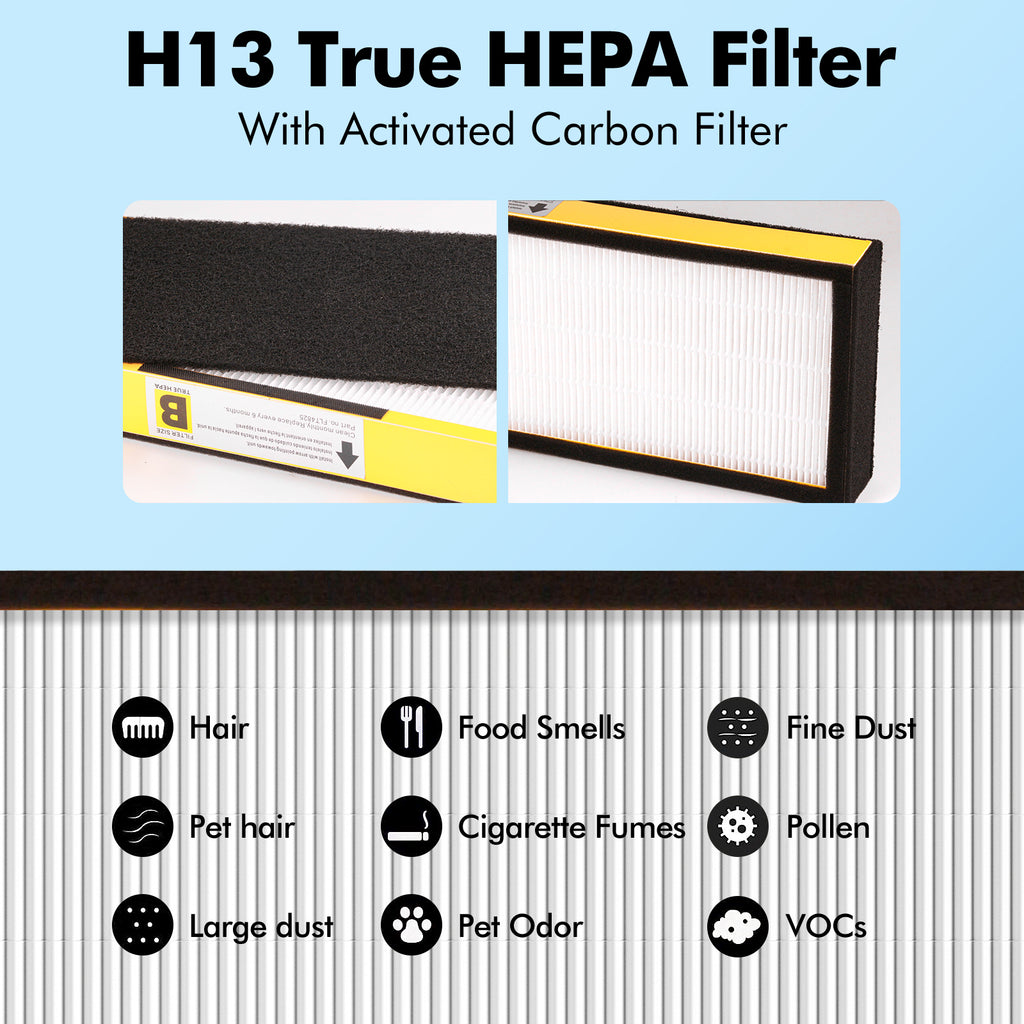 FLT4825 Filter B HEPA Pure Replacement Compatible with GermGuardian AC4825, AC4825E, AC4300, AC4800, AC4900, AC4850 Air Purifier, 4 Pack